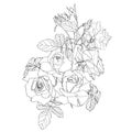 Hand drawn summer vintage bouquet: rustic Roses. Hand painted flowers isolated Royalty Free Stock Photo