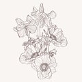 Hand drawn summer vintage beige bouquet: rustic anemones, line art.