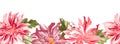 Dahlia macro flower banner, floral horizontal template, botanical wild web advertising frame. Vector pink flower art