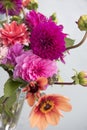 Colorful Dahlias