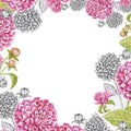 Dahlias frame pattern pattern isolate watercolor white background Royalty Free Stock Photo