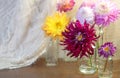 Dahlias in glasses on a wooden table. View through wet rainy windowPInk white Dahlia flowers, top view. Colorful dahlia Royalty Free Stock Photo