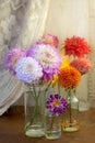Dahlias in glasses on a wooden table. View through wet rainy windowPInk white Dahlia flowers, top view. Colorful dahlia Royalty Free Stock Photo