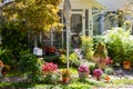 A front yard filled to the sidewalk with plants and flowers in seasonal colors in Dahlonega, Georgia