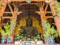 Daibutsu Buddha statue of Todai-ji, Nara Royalty Free Stock Photo