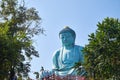 The Daibutsu Buddha statue in Wat Phra That Doi Phra Chan temple
