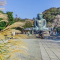 Daibutsu - The Great Buddha of Kotokuin Temple in Kamakura