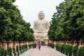 Daibutsu, The Great Buddha Statue in meditation pose or Dhyana Mudra seated on a lotus in open air with trees in foreground. Royalty Free Stock Photo