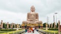 Daibutsu, The Great Buddha Statue in meditation pose or Dhyana Mudra seated on a lotus in open air with trees in foreground.