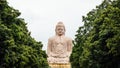 Daibutsu, The Great Buddha Statue in meditation pose or Dhyana Mudra seated on a lotus in open air with trees in foreground. Royalty Free Stock Photo