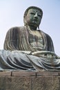 Daibutsu Wide View