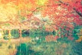 Daigo-ji temple in autumn, Kyoto, Japan ( Filtered image proces