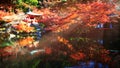 Daigo-ji temple with colorful maple trees in autumn, Kyoto, Japan Royalty Free Stock Photo