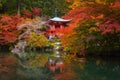 Daigo-ji temple with colorful maple trees in autumn Royalty Free Stock Photo