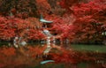 Daigo ji temple, Kyoto