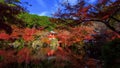 Daigoji shrine in Autumn, Kyoto Royalty Free Stock Photo