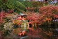 Daigoji pagoda in autumn, Kyoto Royalty Free Stock Photo