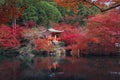 Daigoji Pagoda Temple with red maple leaves or fall foliage in autumn season. Colorful trees, Kyoto, Japan. Nature landscape Royalty Free Stock Photo