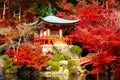 Daigoji Temple in autumn japan