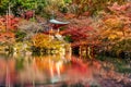 Daigoji temple in autumn, Kyoto. Japan autumn seasons Royalty Free Stock Photo