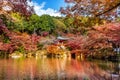 Daigoji temple in autumn, Kyoto. Japan autumn seasons Royalty Free Stock Photo