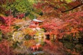 Daigoji temple with Autumn maple Royalty Free Stock Photo