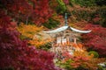 Daigoji temple in maple trees, momiji season, Kyoto, Japan Royalty Free Stock Photo