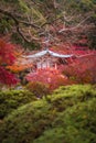 Daigoji temple in maple trees, momiji season, Kyoto, Japan Royalty Free Stock Photo