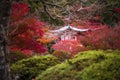 Daigoji temple in maple trees, momiji season, Kyoto, Japan