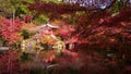 Daigoji temple pagoda with red autumn maple leaf, Kyoto Royalty Free Stock Photo