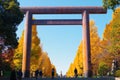 Daiichi Torii, the first gate of Yasukuni Shrine Royalty Free Stock Photo