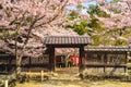 Daikaku ji Temple with cherry blossom at arashiyama, kyoto, kansai, japan Royalty Free Stock Photo