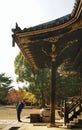 Daikakuji Temple, Kyoto Royalty Free Stock Photo