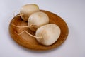 Daikon or mooli Raphanus sativus longipinnatus, mild-flavored winter radish root vegetables