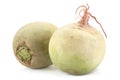 Daikon purple radish Royalty Free Stock Photo