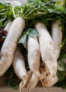 Daikon radishes at the Farmer's Market Royalty Free Stock Photo