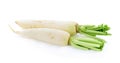 Daikon radishes isolated on white background Royalty Free Stock Photo