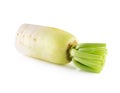 Daikon radishes Royalty Free Stock Photo