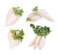 Daikon radishes isolated Royalty Free Stock Photo