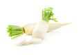 Daikon radishes isolated on white background