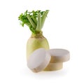 Daikon radishes isolated on a white background