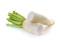 Daikon radishes on white background