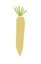 Daikon root vegetable. Vector flat illustration isolated on a white. Royalty Free Stock Photo