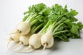 Daikon on white background