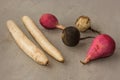 Daikon, white and black radish, radish on gray kitchen table Royalty Free Stock Photo