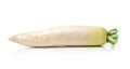 Daikon White Radish