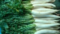 Daikon, white radish Royalty Free Stock Photo