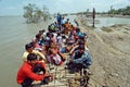 Dailylife of Sundarban Royalty Free Stock Photo