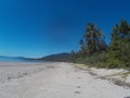 Daintree