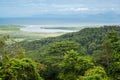 Daintree National Park Royalty Free Stock Photo